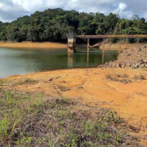 Governo de Pernambuco decreta situação de emergência por causa da seca nos municípios de Capoeiras, Caetés, Jucati, Paranatama, São Bento do Una, entre outros