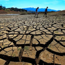 Pernambuco decreta situação de emergência em Capoeiras e Caetés, e em outros 100 municípios por causa da estiagem